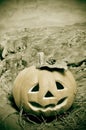 Halloween jack-o'-lantern Royalty Free Stock Photo