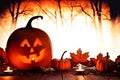 Halloween Jack o Lantern against spooky orange lit forest Royalty Free Stock Photo