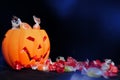 Halloween Jack o Lantern candy collector full of candy and some Royalty Free Stock Photo