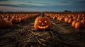 Halloween Jack-o\'-lantern in a field with pumpkins, spooky and scary mood, Trick or treat, October, autumn Royalty Free Stock Photo