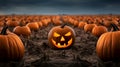 Halloween Jack-o\'-lantern in a field with pumpkins, spooky and scary mood, Trick or treat, October, autumn Royalty Free Stock Photo