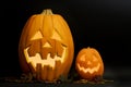 Halloween Jack-O-Lanterns Royalty Free Stock Photo