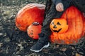 Halloween kids. A basket of Jack O Lantern chocolates in the background of huge ugly pumpkins in the hands of a child. Cute little