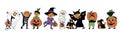 Halloween kids character set. Children in colorful Halloween costumes: bat, witch, ghost, mummy, death, pumpkin, zombie. Dogs in Royalty Free Stock Photo