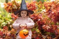 Halloween kids. funny cute girl in black hat with pumpkin Jack, bucket for sweet candy on red maple Royalty Free Stock Photo