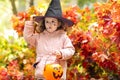 Halloween kids. funny cute girl in black hat with pumpkin Jack, bucket for sweet candy on red maple natural background. Royalty Free Stock Photo