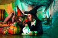 Halloween kids holidays concept. Halloween sweets. Happy Halloween Cute children making funny faces with a pumpkin Royalty Free Stock Photo