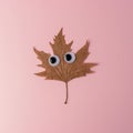 Halloween leaf with funny eyes on pink background. Funny minimal concept