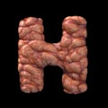 Halloween letter H - Upper-case 3d bloody font - suitable for Halloween, horror or death related subjects