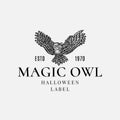 Halloween Logo or Label Template. Hand Drawn Evil Flying Owl Bird Sketch Symbol and Retro Typography.