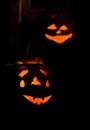 Halloween in Machias, Maine, USA Royalty Free Stock Photo