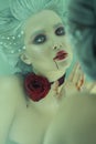 Halloween makeup style, Bride of Dracula image