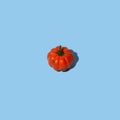 Halloween minimal composition with bright decorative orange pumpkin.