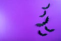 Halloween mock up concept. Flying black paper bats on a purple background on a purple background