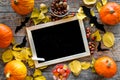 Halloween mockup. Chalkboard near paper bats and pumpkins on wooden background top view