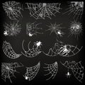 Halloween monochrome spider web and spiders isolated on black background. Hector venom cobweb set. Vector illustration. Spider web