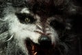 Halloween monster werewolf mask with bloody teth. scary grin Royalty Free Stock Photo