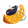 Halloween mouse with a piece of cheese. Mouse lies on the cheese. Vector cartoon illustration isolated on a white