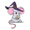 Halloween mouse with witch hat and magic ball. Isolated on white background. Royalty Free Stock Photo