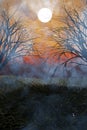 Halloween.Mysterious dark forest in fog with moon.