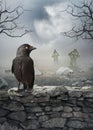 Halloween mystical background with raven on the stone wall Royalty Free Stock Photo