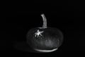 Halloween mystical dark background. Black pumpkin with a white spider on a black background, with a glow. Concept for Halloween