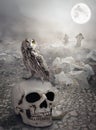 Halloween mystical landscape with skull and owl