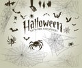 Halloween net ans spiders silhouettes Royalty Free Stock Photo