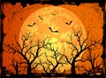 Halloween night background