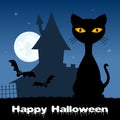 Halloween Night with Cat & Haunted House Royalty Free Stock Photo