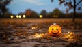 Halloween night, pumpkin glowing, spooky celebration, autumn nature decoration generated by AI