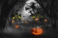 Halloween night terrifying pumpkins,tombstones and cemetery spooky scary,ghost and witch flying in air,moon and sky background , Royalty Free Stock Photo