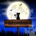 Halloween night wallpaper with cat and full moon