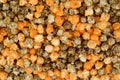 Halloween orange and black licorice popcorn Royalty Free Stock Photo