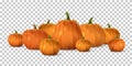 Halloween orange pumpkin set. Isolated traditional realistic food. October holiday decoration vector illustration Royalty Free Stock Photo