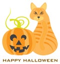 Halloween Orange Tabby Cat Pumpkin vector Illustration