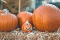 Halloween outdoor pumpkin decorations in front of house yard