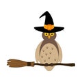 Halloween owl witch illustration