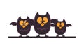 Halloween owls birds isolated icons