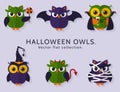 Halloween owls set 2 Royalty Free Stock Photo