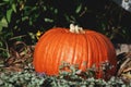 Halloween park decor with a pumpkin Royalty Free Stock Photo