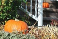 Halloween park decor with a pumpkin Royalty Free Stock Photo