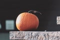 Halloween park decor with a pumpkin Royalty Free Stock Photo