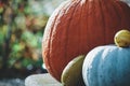 Halloween park decor with pumpkins Royalty Free Stock Photo