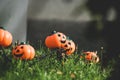 Halloween park decor with pumpkins Royalty Free Stock Photo