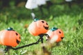 Halloween park decor with pumpkins Royalty Free Stock Photo