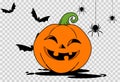 Halloween party background with smiles pumpkin looking at bats and spiders isolated on png or transparent, blank space for text,