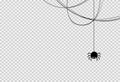 Halloween party background with spider hanging from spiderwebs isolated png or transparent texture,blank space for text,element