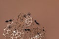 Halloween party decorations from bats, spider web and confetti. Happy halloween minimal holiday greeting card flat lay