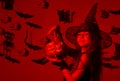 Halloween party and decorations concept. Little witch wearing black hat Royalty Free Stock Photo